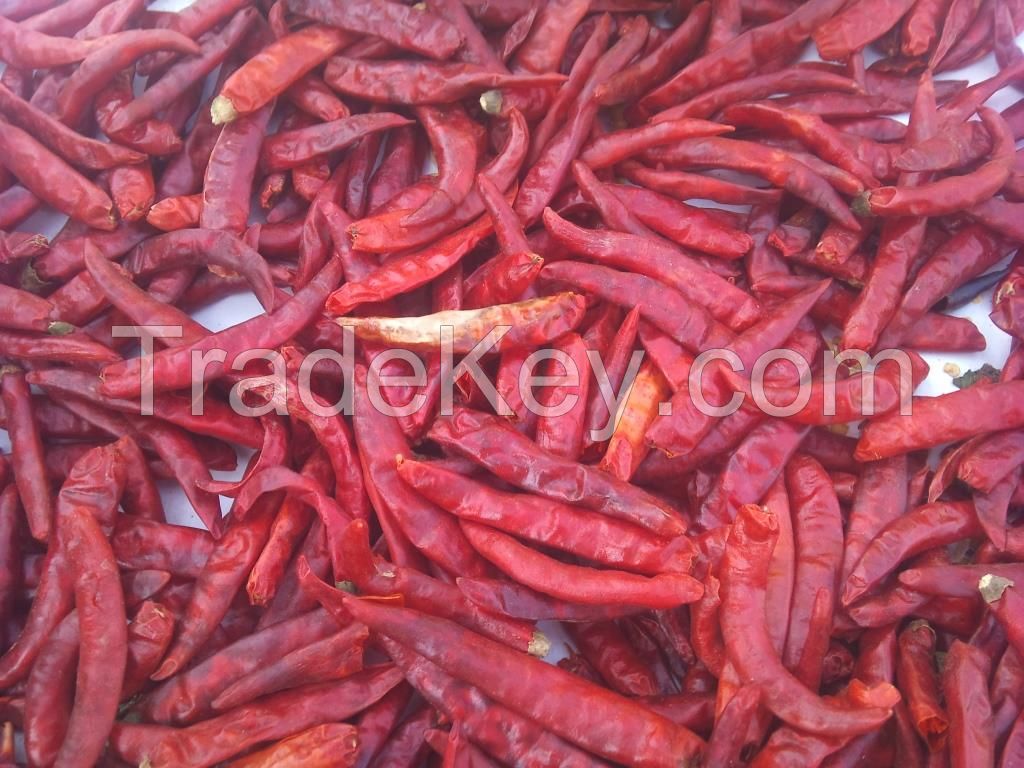 DRY RED CHILLI