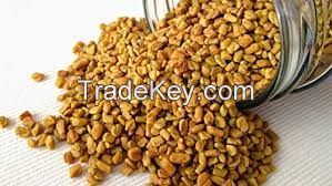 FENUGREEK SEED