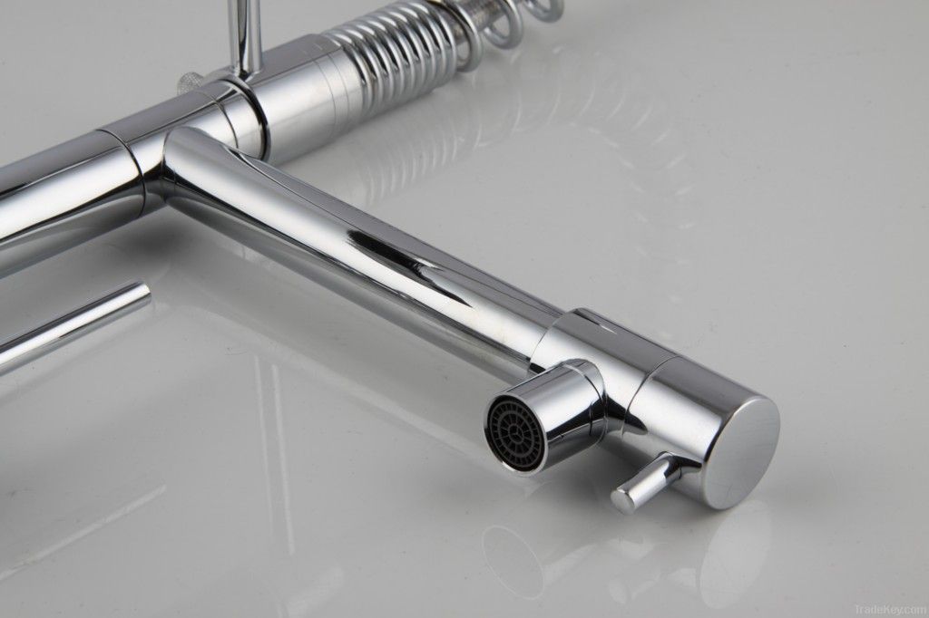 Professional Kitchen Faucet With Pull Out Spray
