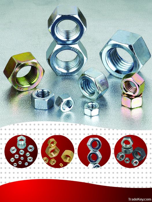 Hex Nuts