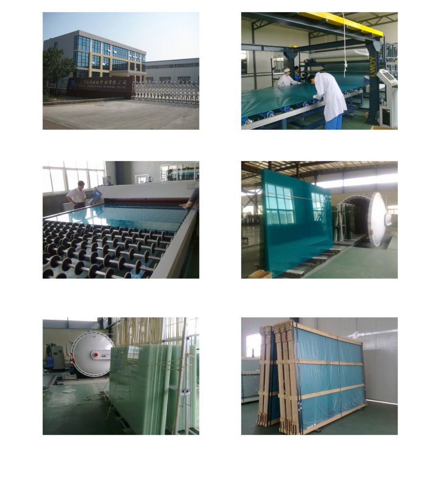 Tempered Glass, Laminated Glasd, Mirror, Tinted Glass, Patterned Glass.