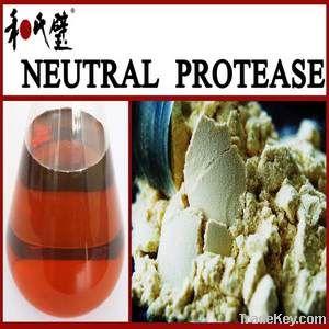 neutral protease