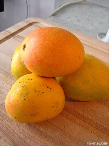 Fresh mango