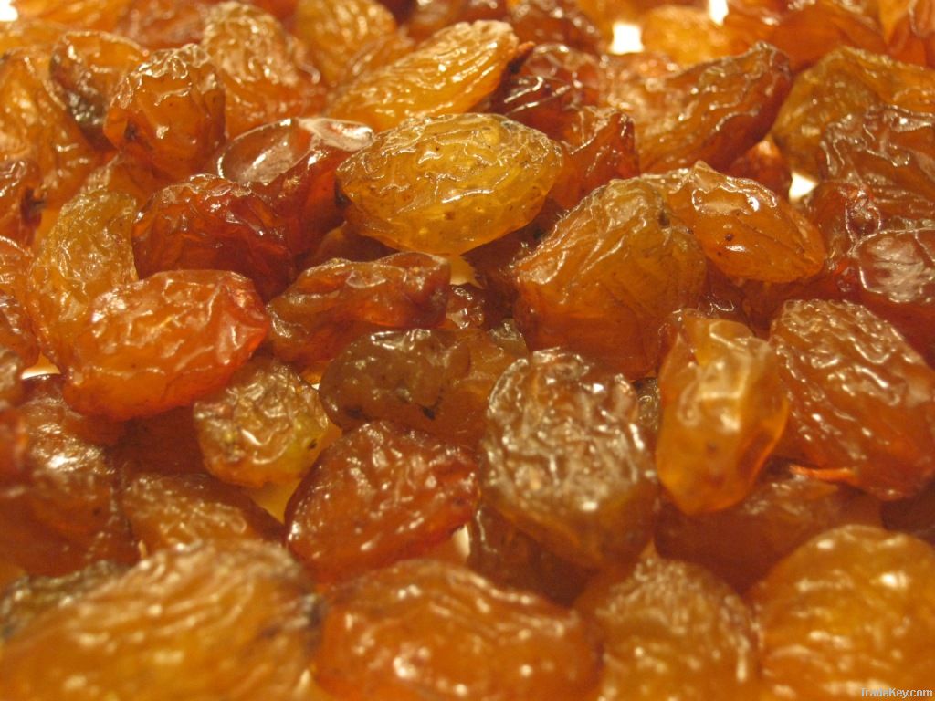 Brown raisin ABDUSHT