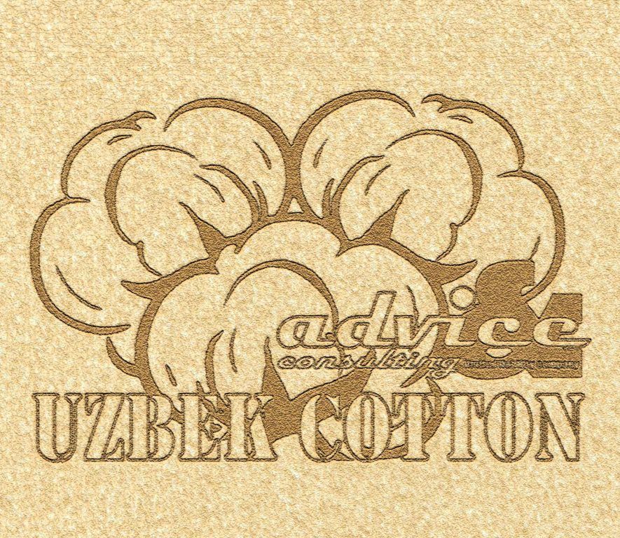 Cotton fiber