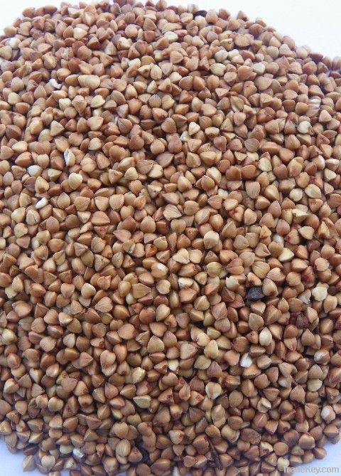 2012 roasted buckwheat kernel