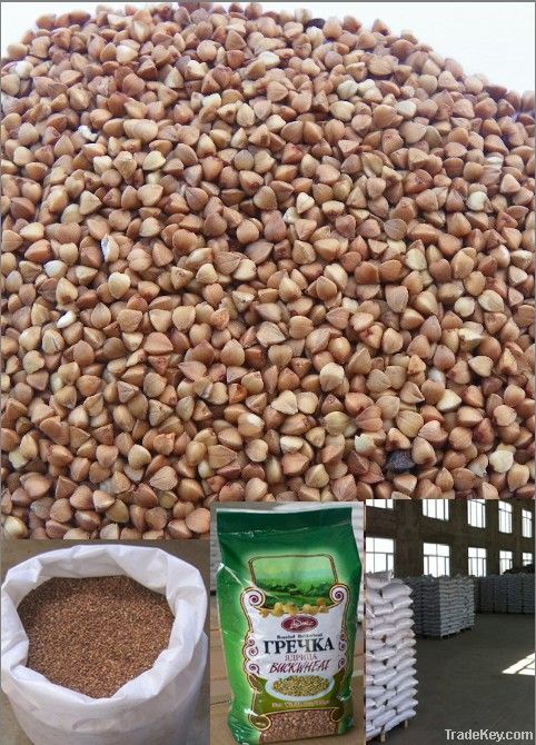 2012 new crop roasted buckwheat kernel