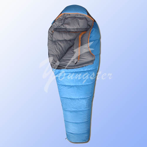 Sleeping bag