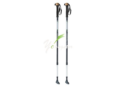 Walking sticks