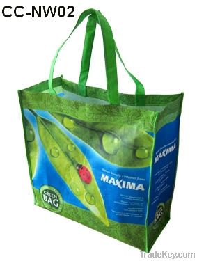 Promotional non woven bag