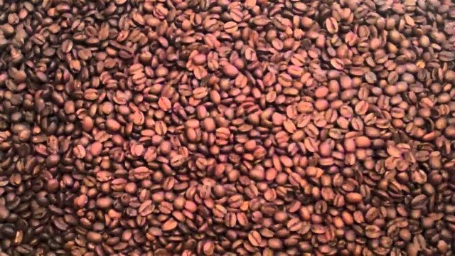 Mocha Haraazi Coffee Beans