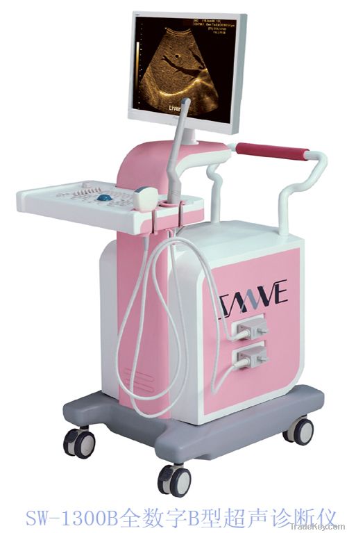 SW-1300 ultrasound Scanner (pseudo color)