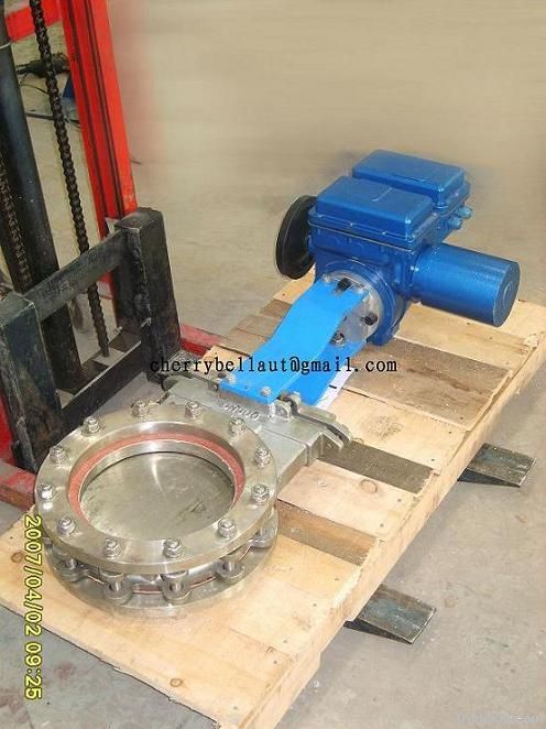 Electric Gate Valve with Actuator
