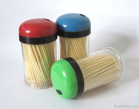 Bamboo Toothpicks