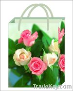 2012 Flower series Paper Bag