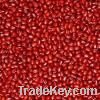 small red kidney bean