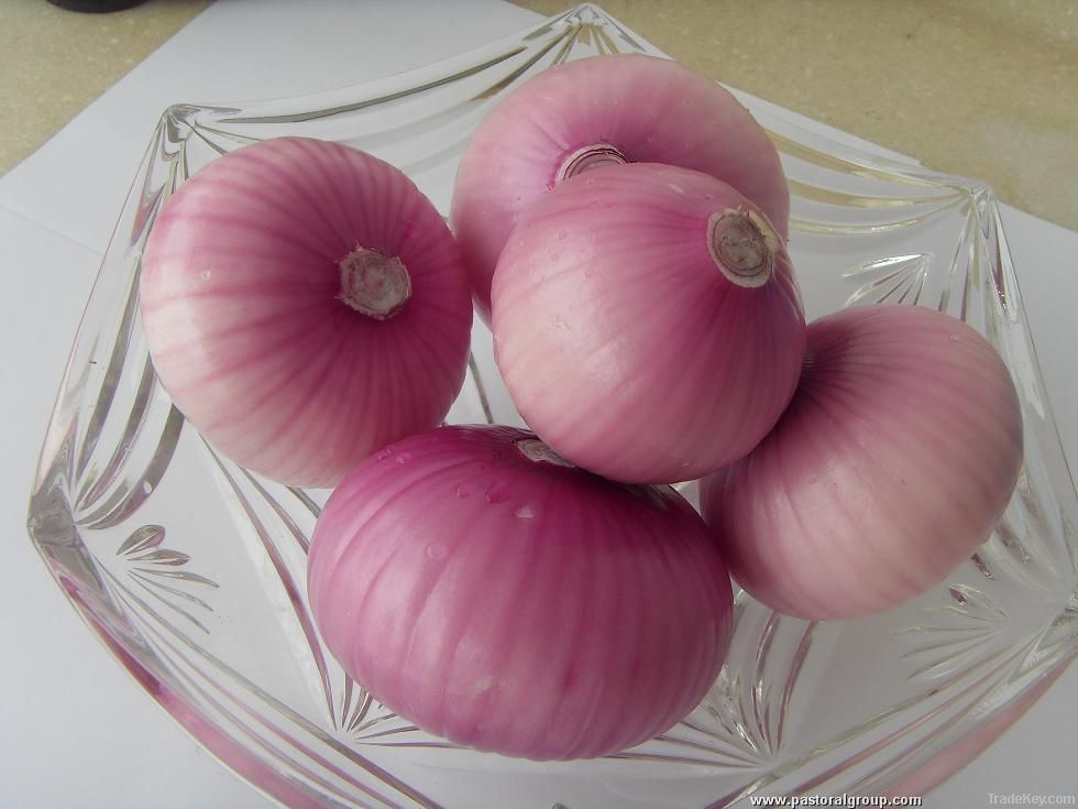 fresh  red onion