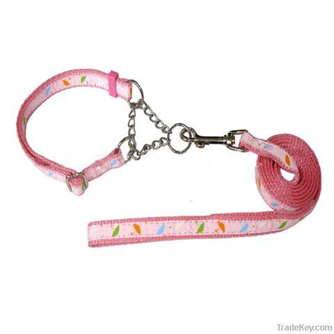 Pet collar and leash