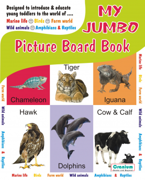 My Jumbo Picture Board Book 2