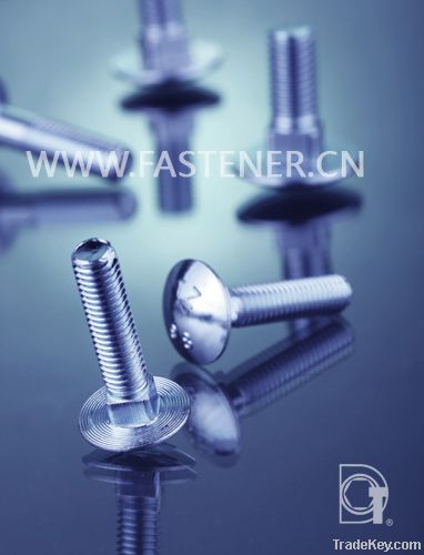 Carriage bolts