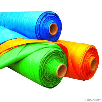 PE & Plastic Tarpaulin