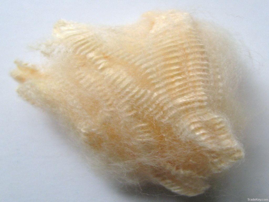polyester staple fiber