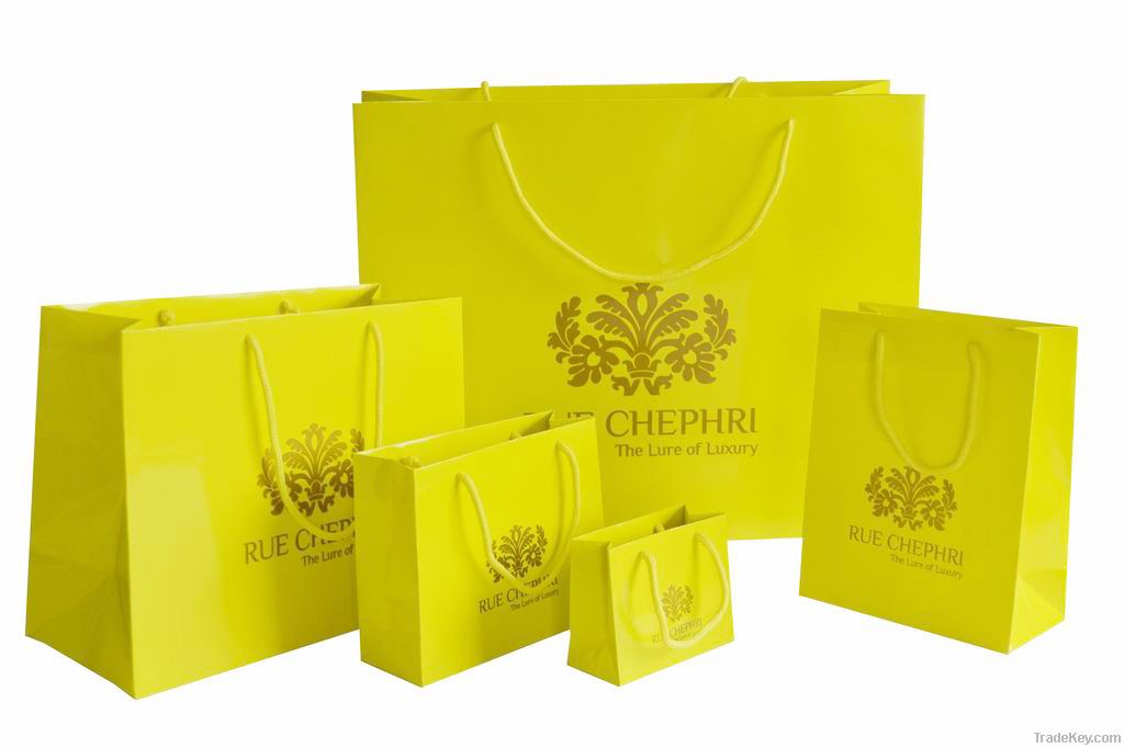 2012 Fashion Shopping Paper bag