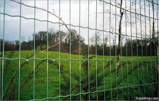 Welded Wire Fence