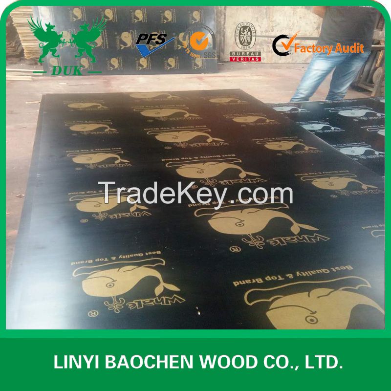 film faced plywood / shuttering plywood / construction plywood