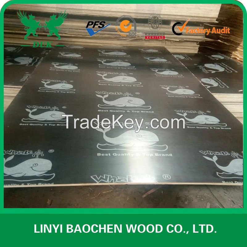 12mm black film faced plywood / construction plywood / shuttering plywood/ formwork plywood