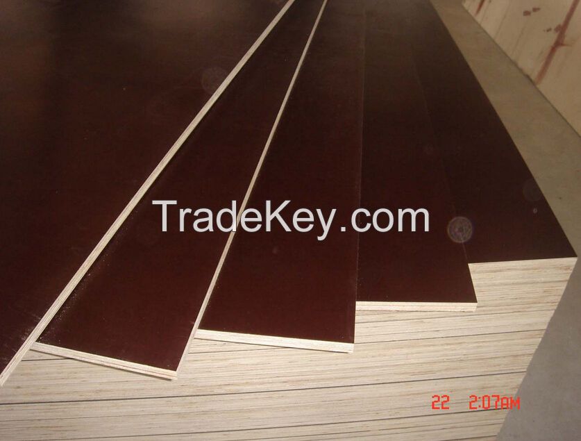 Dynea film faced plywood for Indonesia market