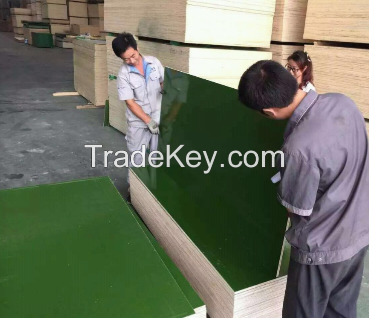 Green PP plastic film faced plywood for construction
