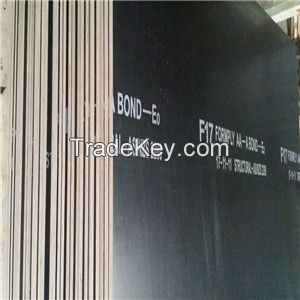 F17 structural formwork plywood