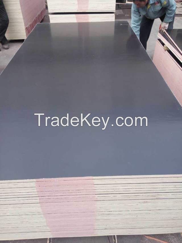 Turkmenistan market film faced plywood with brand name