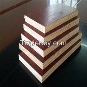 18mm Dynea construction plywood