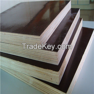 18mm Dynea construction plywood