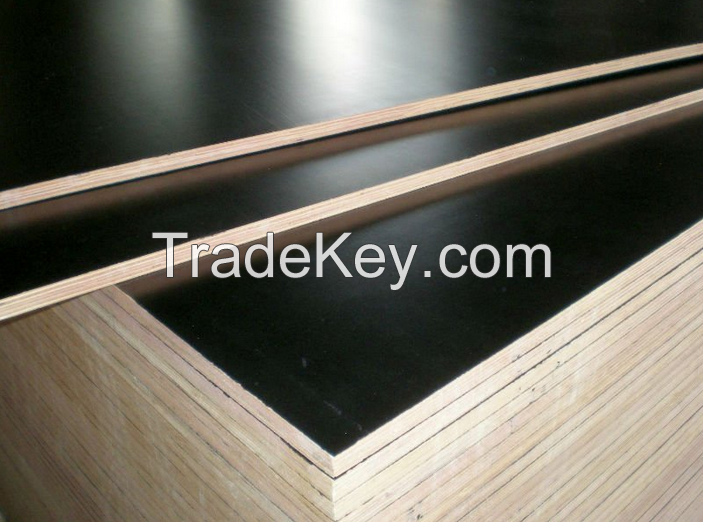 1200x2440mm Marine plywood / concrete formwork Film faced plywood