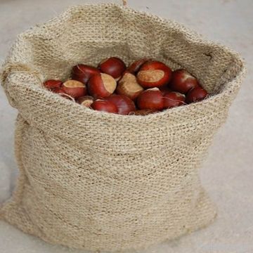 chestnut :  fresh , frozen, diced  chestnut