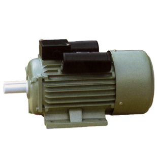 electric motor