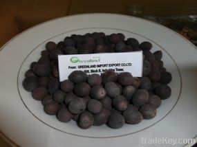 Black Lotus Seeds