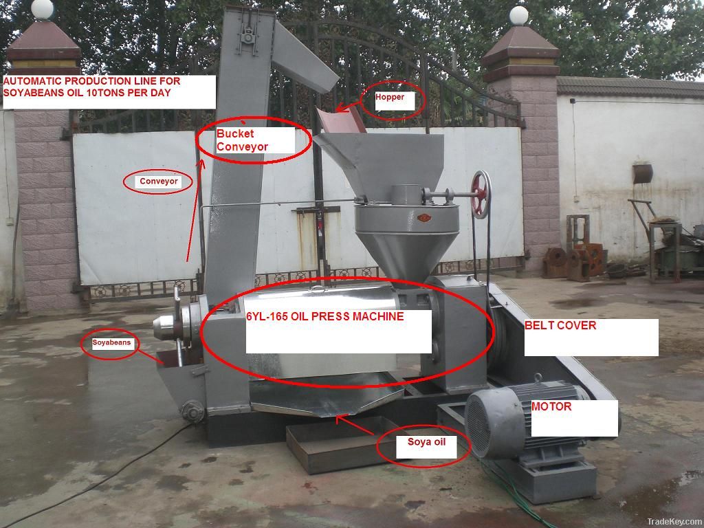 Biggest capacity screw oil press machine