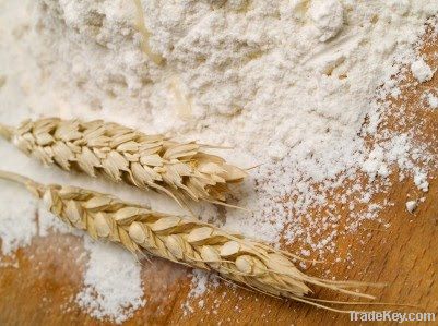 wheat flour