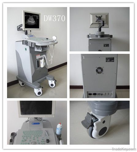 Newest for Trolley Full -Digital Ultrasound Scanner