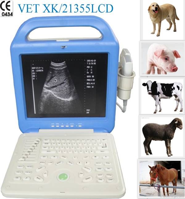 Digital laptop veterinary ultrasound scanner