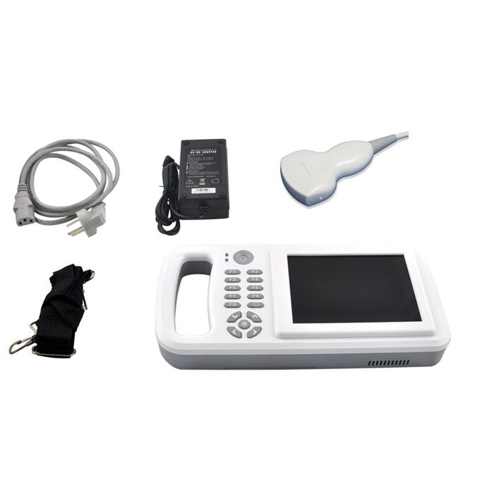 palm GY&OB ultrasound scanner