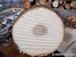 Hickory Logs