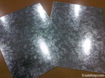 prime quality hot dipped galvanized steel sheet in coils