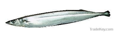 Pacific Saury (Sanma)