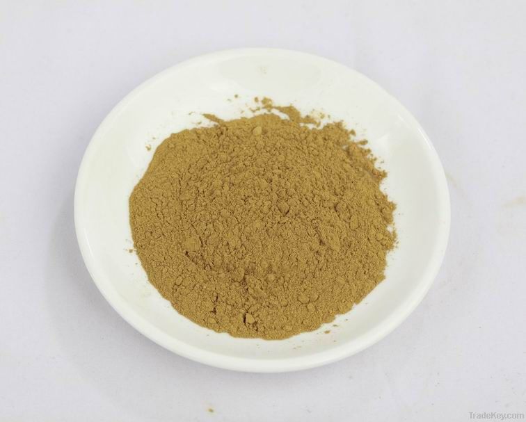 rosemary extract carnosic acid40%