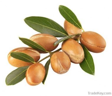 argan oil